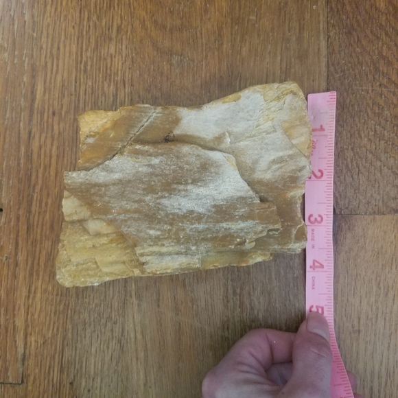 Petrified Wood Display Specimen Mitchell County Nc. 1lb 12oz. - Picture 6 of 10